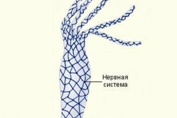 Ссылки сайтов даркнета