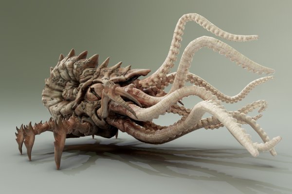 Kraken дарк магазин