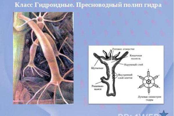 Кракен современный маркетплейс