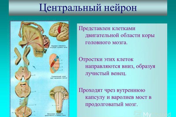 Ссылка адрес на кракен