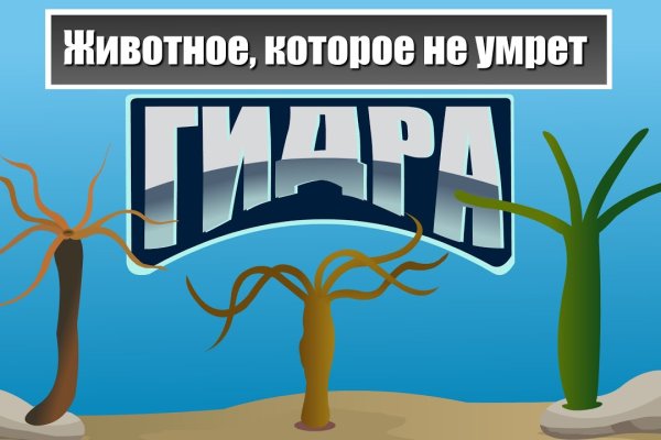 Kraken 2krn