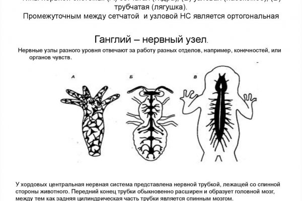 Kraken cc зеркало kr2web in